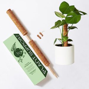 moss pole monstera plant support - train indoor climbing plants to grow upwards - 2 coco coir totem stakes
