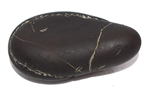 Laxmi Vishnu Paduka Shaligram - Gandaki River Nepal, Fossil, Fossil