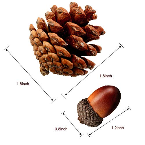 120 Pieces Artificial Acorns and Pine Cones, Lifelike Simulation Small Acorn with Acorn Cap Hanging Ornaments Acorn Decorations for Crafting, Wedding, Autumn, Thanksgiving, Christmas Decor