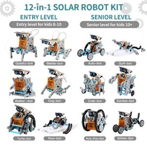 Lucky Doug 12-in-1 STEM Solar Robot Kit Toys Gifts for Kids 8 9 10 11 12 13 Years Old, Educational Building Science Experiment Set Birthday for Kids Boys Girls