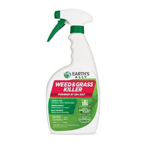 earth's ally weed and grass killer | safe, pet-friendly natural weed control spray for patios, driveways & sidewalks, ready-to-use 24oz - bee safe, no glyphosate weed killer