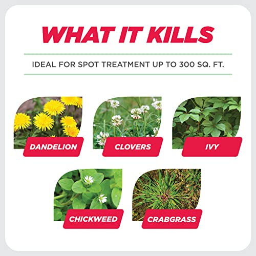 Earth's Ally Weed and Grass Killer | Safe, Pet-Friendly Natural Weed Control Spray for Patios, Driveways & Sidewalks, Ready-to-Use 24oz - Bee Safe, No Glyphosate Weed Killer