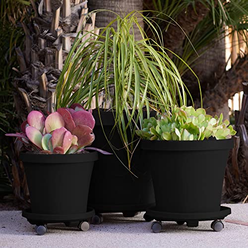 Bloem Caddy Round Plant Stand Caddy w/ Wheels Saucer Tray (CAD1600), Black, 16"