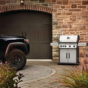 Napoleon Propane Gas Grill