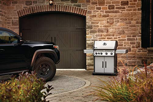 Napoleon Propane Gas Grill