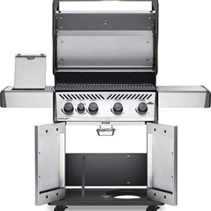 Napoleon Propane Gas Grill