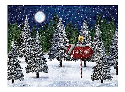 Allenjoy Winter Snowing Night Landscape Forest Backdrop Christmas Wonderland North Pole Moon Snowflake Snow Scene Pine Kids Newborn Photo Booth Props Baby Shower 8x6ft Photography Background