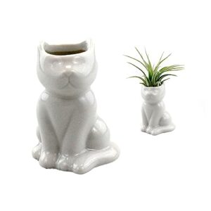 nw wholesaler 2.25 inch white ceramic cat shaped air plant holder - (ceramic only) table top display animal shaped planters and vases for air plants and other mini plants