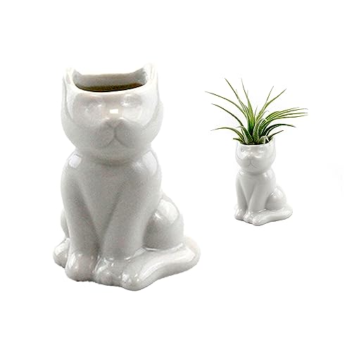 NW Wholesaler 2.25 Inch White Ceramic Cat Shaped Air Plant Holder - (Ceramic Only) Table Top Display Animal Shaped Planters and Vases for Air Plants and Other Mini Plants