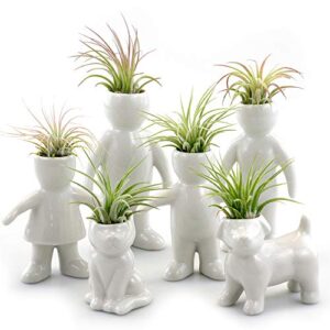 NW Wholesaler 2.25 Inch White Ceramic Cat Shaped Air Plant Holder - (Ceramic Only) Table Top Display Animal Shaped Planters and Vases for Air Plants and Other Mini Plants