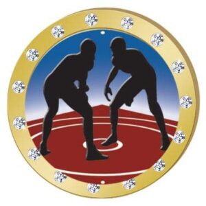 crown awards wrestling gold rhinestone pin, gold wrestling pins, 30 pack