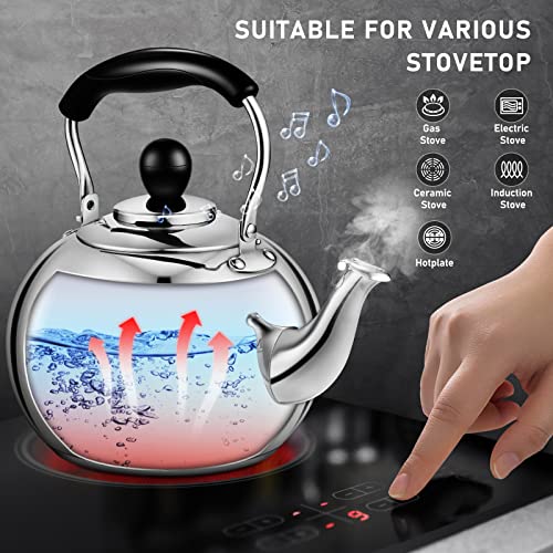 DclobTop Stove Top Whistling Tea Kettle 2.5 Quart Classic Teapot Mirror Polished Culinary Grade Stainless Steel Teapot for Stovetop