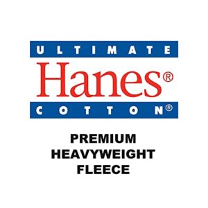 Hanes Men's Ultimate Cotton Heavyweight Pullover Hoodie Sweatshirt, White, Large