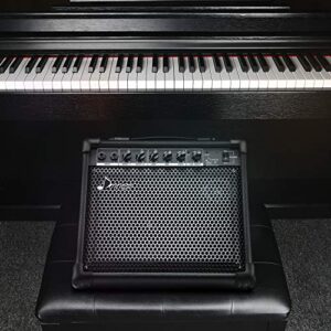 Donner DKA-20 Keyboard Amplifier 20 Watt Keyboard AMP with Aux in and Two Channels, Bass Guitar Amp, Piano Amplifier, Electronic Drum Speaker Support for Microphone Input