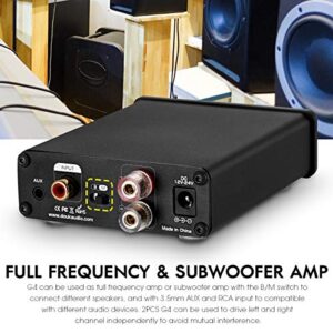 Douk Audio G4 Subwoofer Full-Frequency Mono Channel Digital Power Amplifier 100W