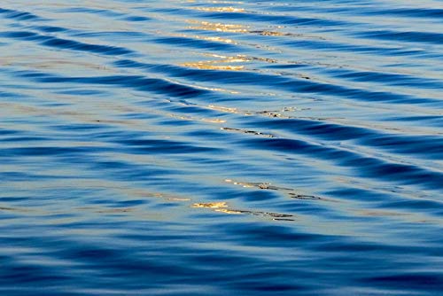 Posterazzi PDDAF05KSU0007 Water Ripples, Chobe National Park. North-West District, Botswana Photo Print, 18 x 24, Multi