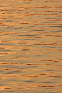 posterazzi pddas36tha0091 sunset reflections on ripples of water photo print, 18 x 24, multi