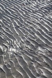 posterazzi pddus10len1051 ripples in the sand, beach at honeymoon island state park, dunedin, florida, usa photo print, 18 x 24, multi