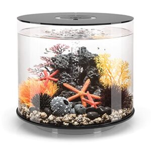 tube 35 aquarium with standard light - 9.2 gallon, black