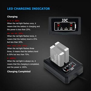 USB Dual Battery Charger for Fujifilm NP-95 FinePix X100 X100S X-S1 X30 X100T FinePix Real 3D W1 FinePix F31fd FinePix F30 and Ricoh DB-90 GXR GXR Mount A12 GXR P10