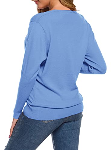 Women's Long Sleeves V Neck Cashmere Blend Sweater, Batwing Sleeves Women Tops Fall Sweaters, X01 V Neck Bat Sleeve Blue, US Large = Tag 4XL