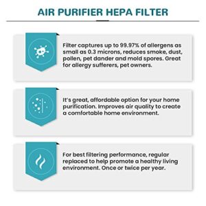 115115 HEPA Replacement Filter for Winix C535 Plasmawave 5300 6300 C535 P300 5500 5300-2 6300-2 Air Purifier, Compatible with 115115 Size 21 Replacement Filter A & 4 Carbon Replacement