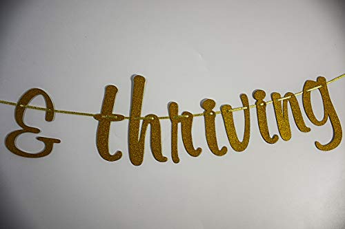 30 Flirty & Thriving Banner, 30th Anniversary Birthday Bunting Sign, Dirty Thirty Party Decorations, Gold and Black Glitter