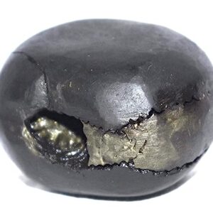 Rudrakshguru Laxmi Narsimha Shaligram