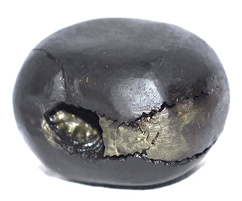 Rudrakshguru Laxmi Narsimha Shaligram