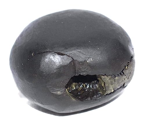 Rudrakshguru Laxmi Narsimha Shaligram