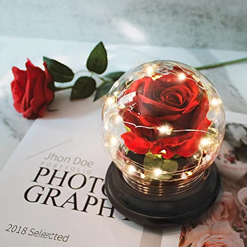 Beauty and the Beast Rose for Her, Artificial Flower Rose Light up Rose in Dome Rose Flower 1PC