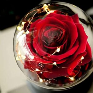 Beauty and the Beast Rose for Her, Artificial Flower Rose Light up Rose in Dome Rose Flower 1PC