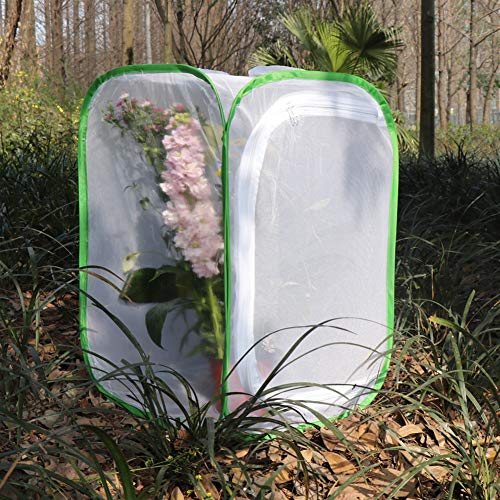 RESTCLOUD Insect and Butterfly Habitat Cage Terrarium Pop-up 24 Inches Tall with Zipper Protection