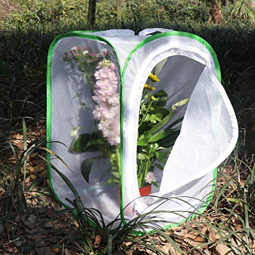 RESTCLOUD Insect and Butterfly Habitat Cage Terrarium Pop-up 24 Inches Tall with Zipper Protection