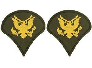 united states army rank e4 specialist patches, dress green, with iron-on adhesive (set of two)