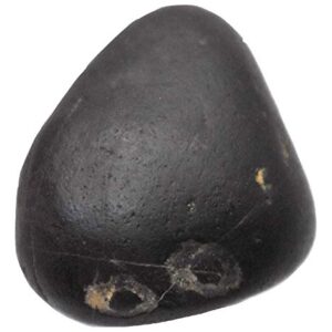 Rudrakshguru Matsya Shaligram - Gandaki River Nepal