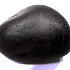 Rudrakshguru Matsya Shaligram - Gandaki River Nepal