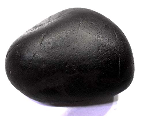 Rudrakshguru Matsya Shaligram - Gandaki River Nepal