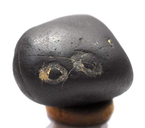 Rudrakshguru Matsya Shaligram - Gandaki River Nepal