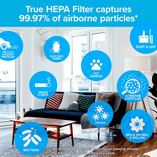 Filtrete Air Purifier, Large Room with True HEPA Filter, Captures 99.97% of Airborne particles such as Smoke, Pollen, Bacteria, Virus for 250 Sq. Ft. Office, Bedroom, Kitchen, FAP-C03BA-G2, Black