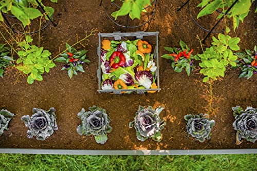 Vita Urbana 3 Foot x 5 Foot Embossed Vinyl Keyhole Garden with Composting Basket, Slate Grey, Gray, PVC, BPA and Pthalate Free, Woodgrain, VT17602