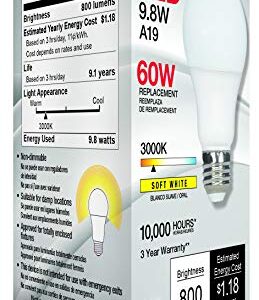 Satco 11407 Econo LED A19 Light Bulb, 60W Replacement, 3000K Warm White, 800 Lumens