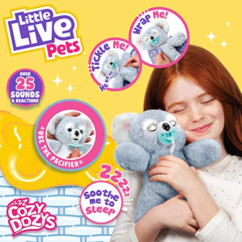 Little Live Pets Cozy Dozy Kip The Koala Bear - Over 25 Sounds and Reactions | Bedtime Buddies, Blanket and Pacifier Included | Stuffed Animal, Best Nap Time, Interactive Bear - Styles May Vary