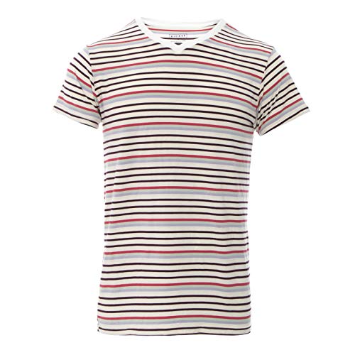 KicKee Menswear Short Sleeve Print V-Neck Tee (M, Chemistry Stripe)