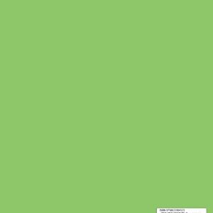 Notebook: Blank | Main subject book | For homeschooling | Customizable blank cover | Light green cover