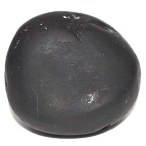 Rudrakshguru Janardhana Shaligram - Gandaki River Nepal