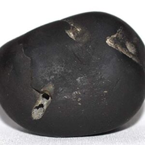 Rudrakshguru Janardhana Shaligram - Gandaki River Nepal