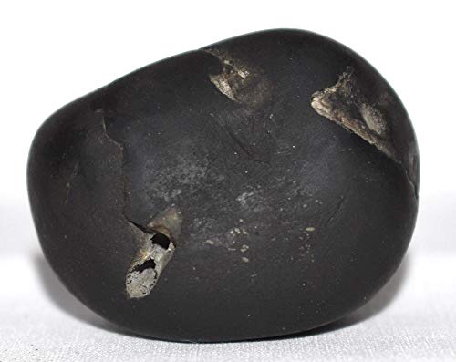 Rudrakshguru Janardhana Shaligram - Gandaki River Nepal