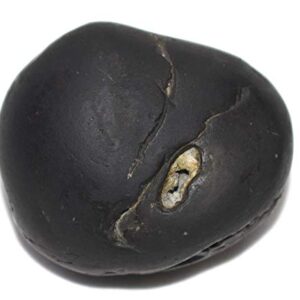 Rudrakshguru Janardhana Shaligram - Gandaki River Nepal