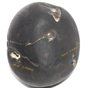 Rudrakshguru Janardhana Shaligram - Gandaki River Nepal